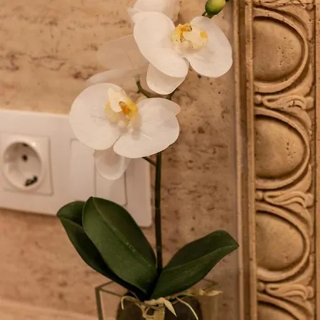 Lux Green Apartament Brasov
